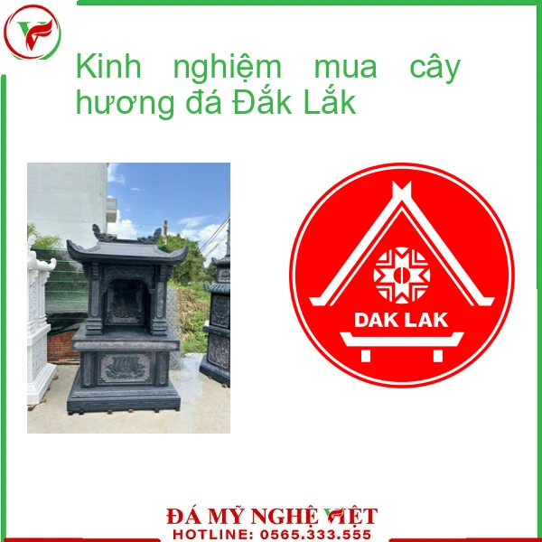 Kinh nghiệm mua cây hương đá Đắk Lắk-f2-2005
